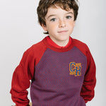 Jersey de niño multicolor Charanga