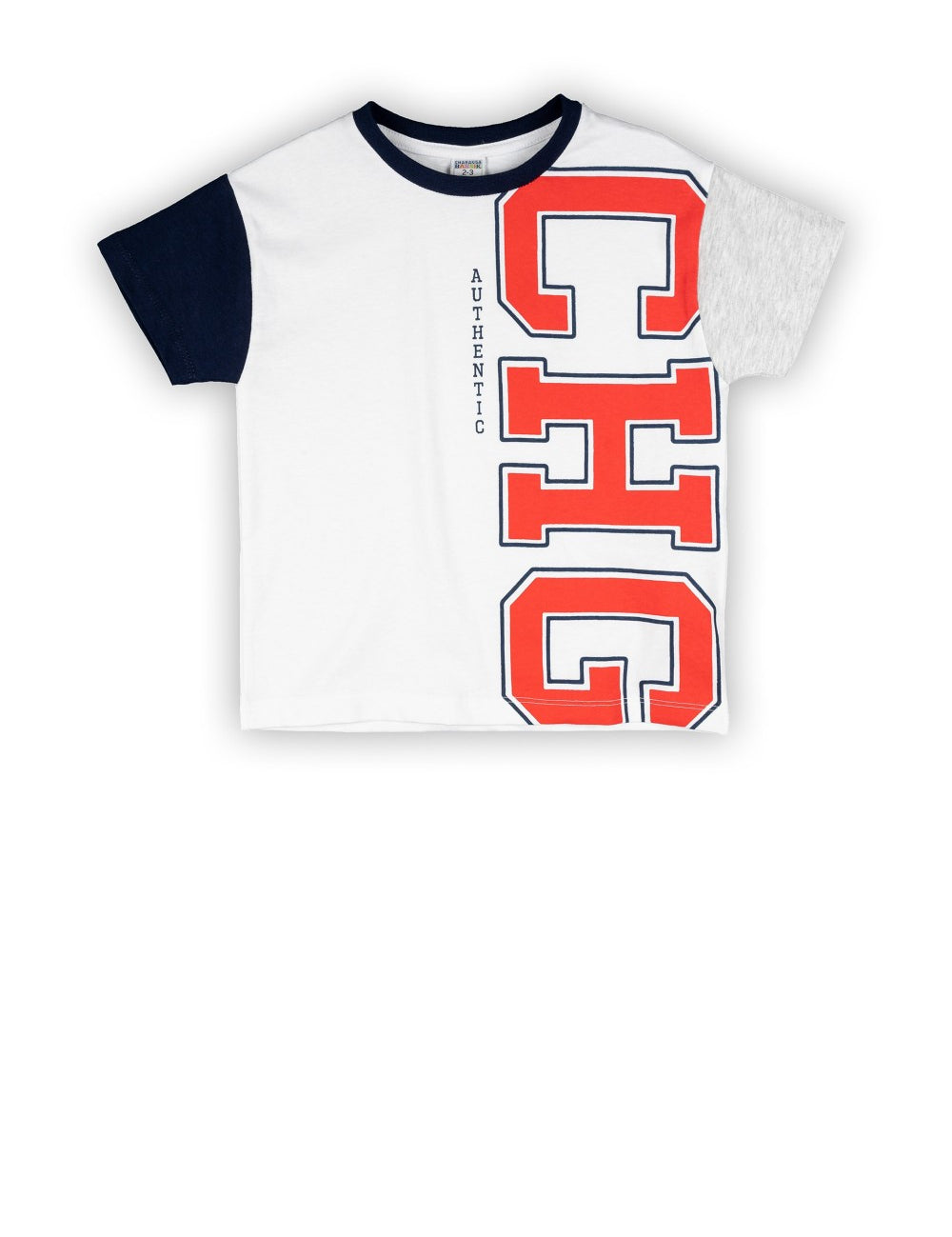 Camiseta de niño multicolor VERANO/Charanga