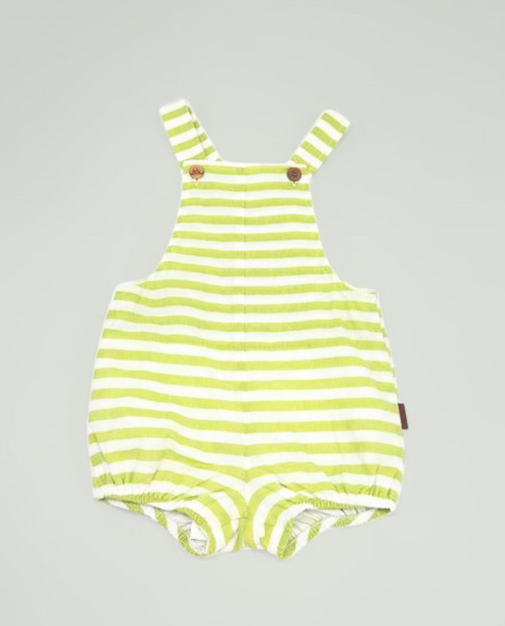 Ranita de rayas verde pistacho