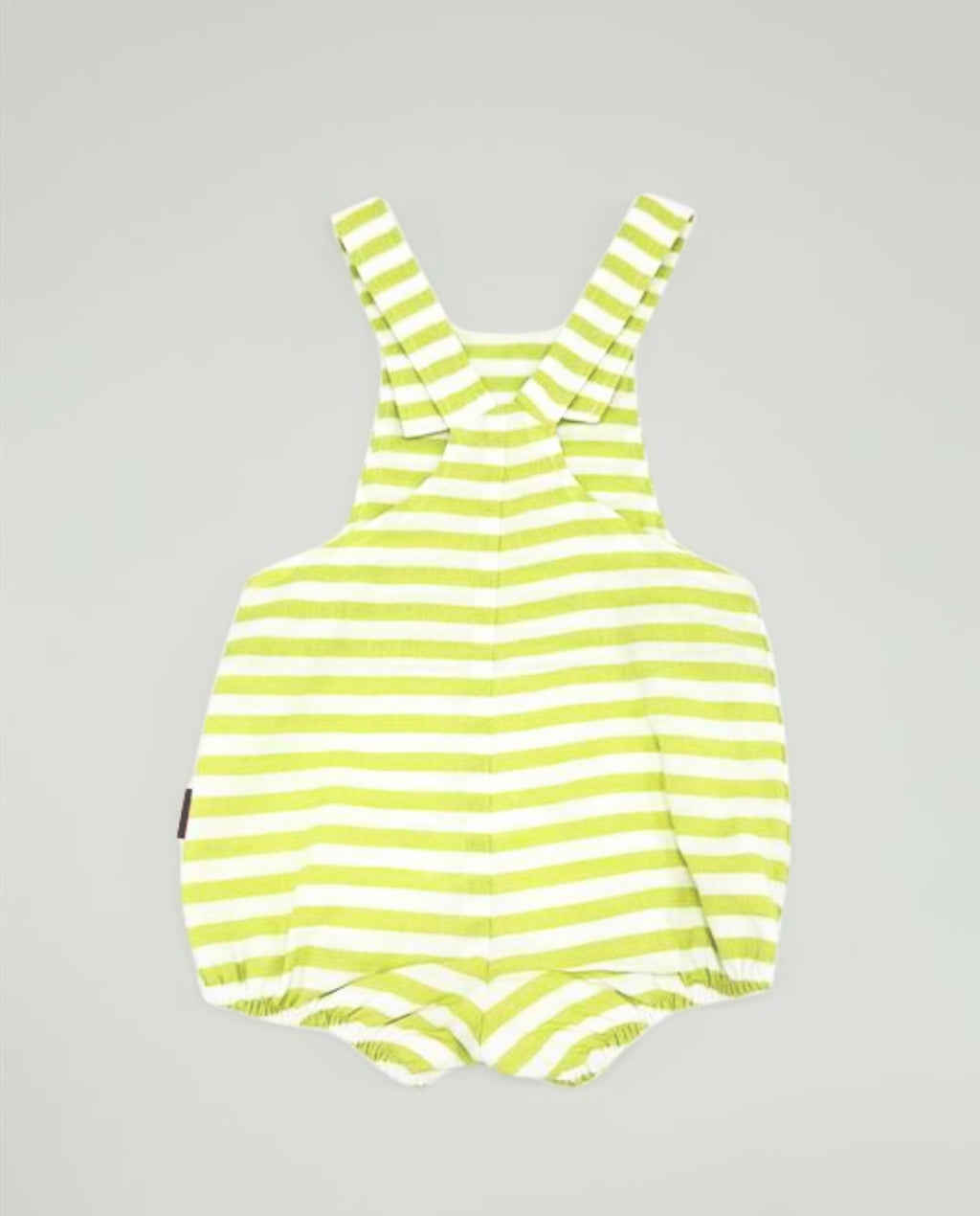 Ranita de rayas verde pistacho