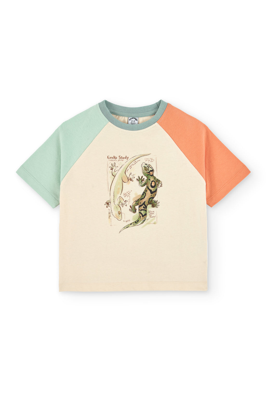 Camiseta de niño multicolor VERANO/Charanga