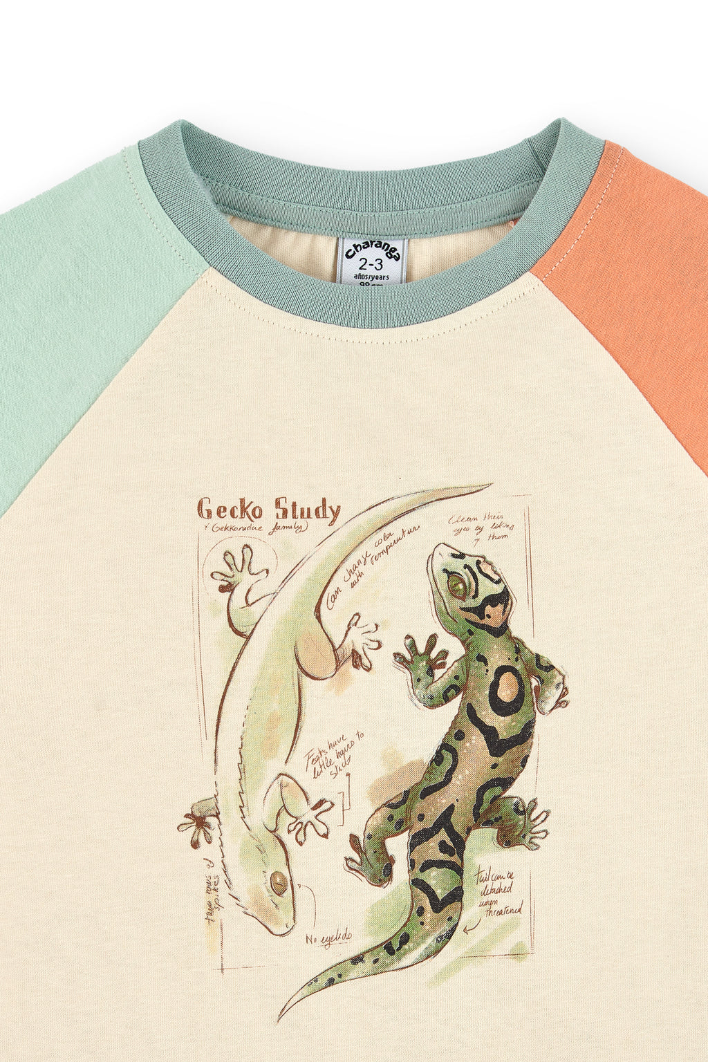 Camiseta de niño multicolor VERANO/Charanga