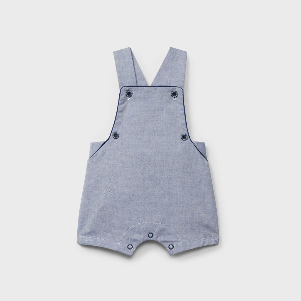 Peto corto marino recién nacido | Dr. Kid by Charanga