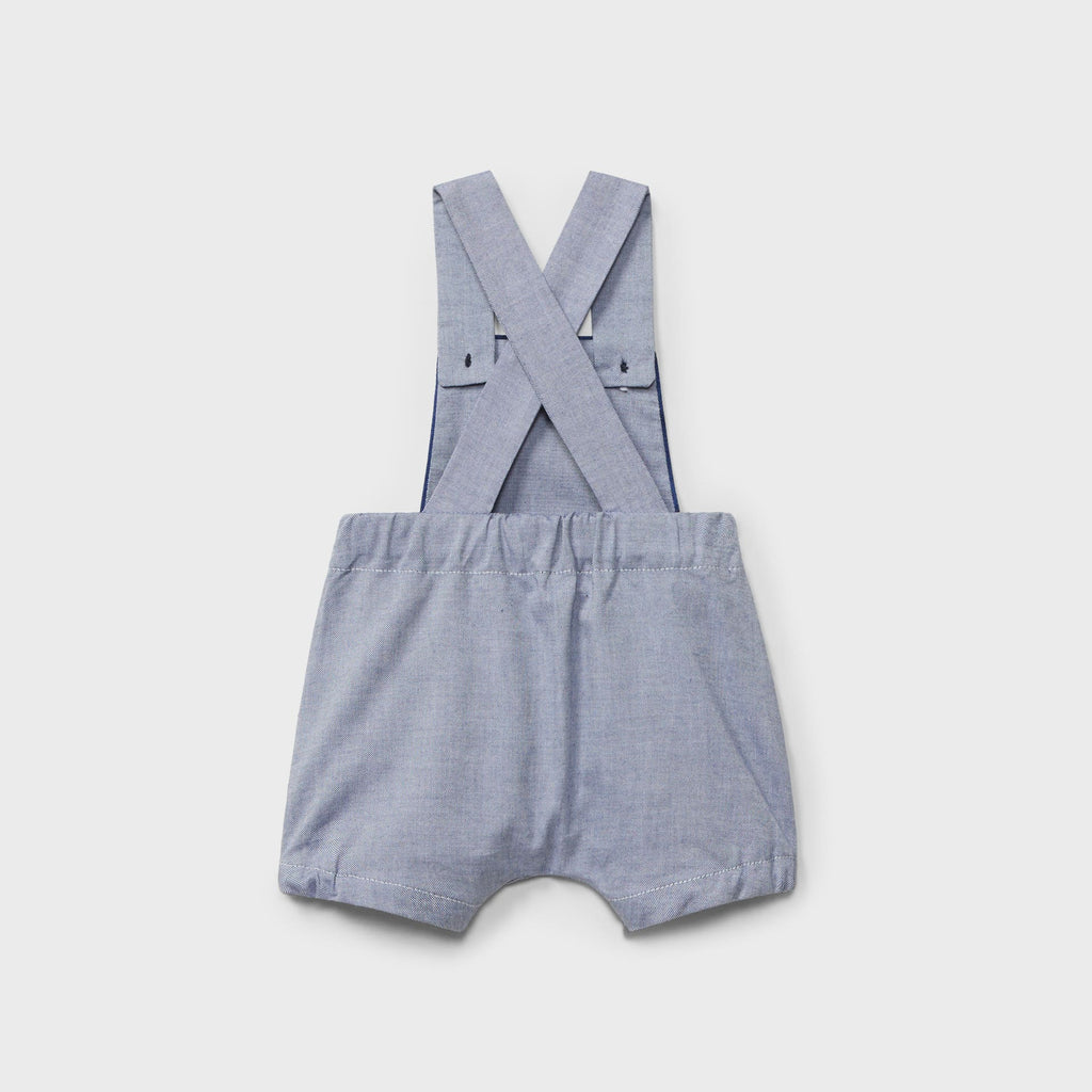 Peto corto marino recién nacido | Dr. Kid by Charanga